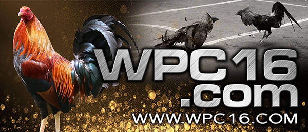 Wpc16 Com Login