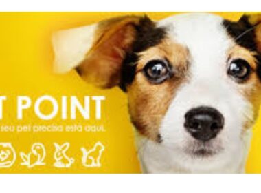 Petpoint Login