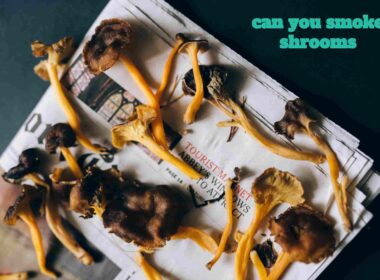 can you smoke shrooms