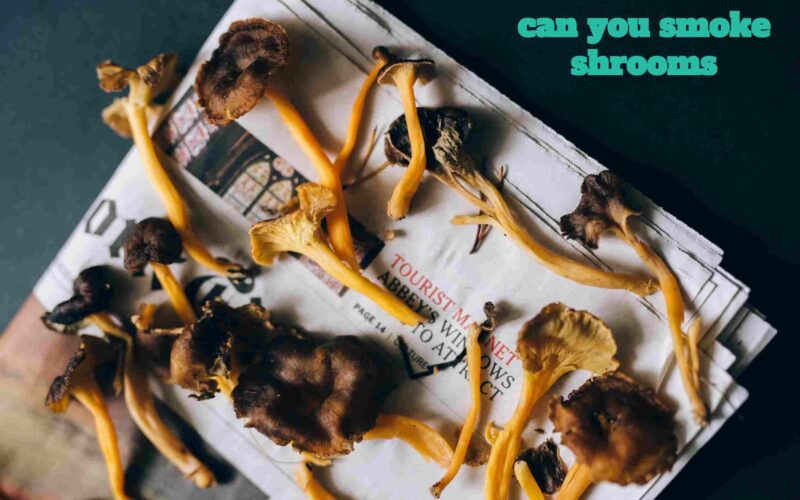 can you smoke shrooms