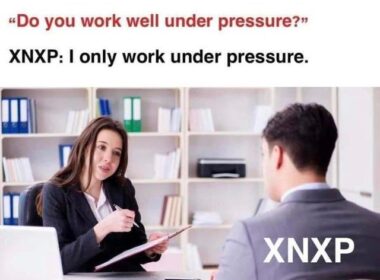 xnxp personality traits 2021
