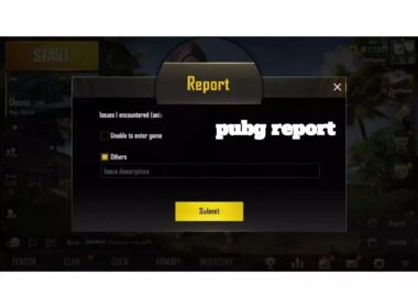 pubg report