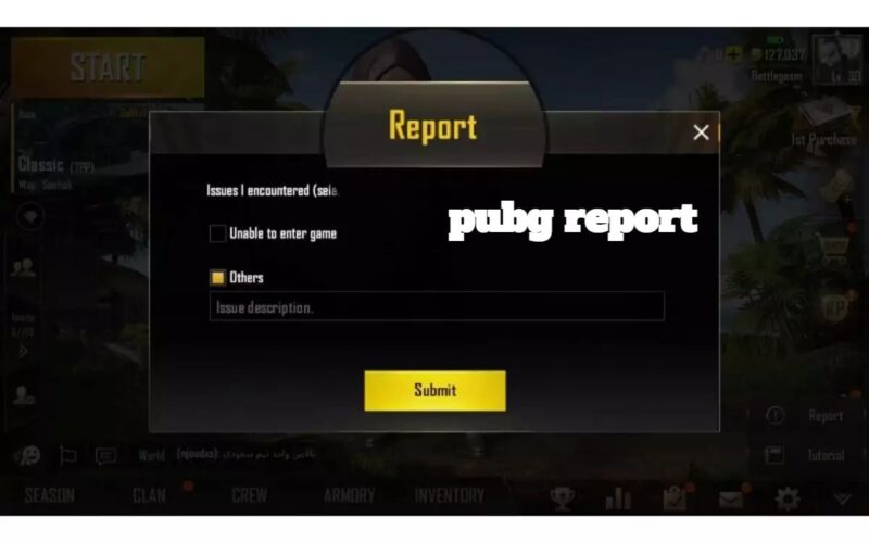 pubg report
