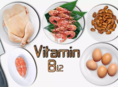 wellhealthorganic vitamin b12
