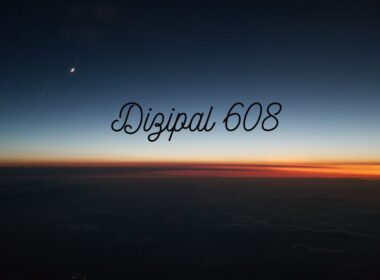 dizipal 608