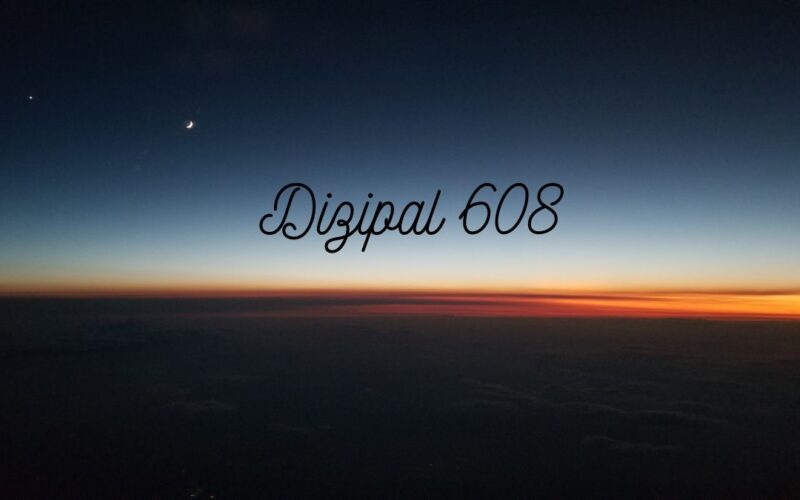 dizipal 608