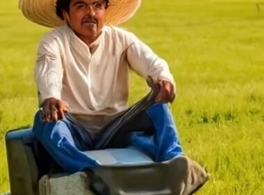 mexican lawnmower