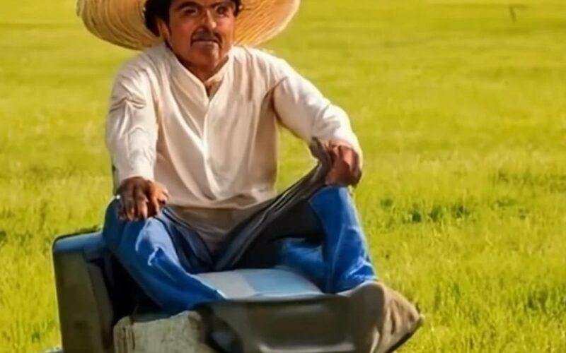 mexican lawnmower