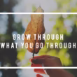 Quotela.net: Your Go-To Source for Inspirational Quotes