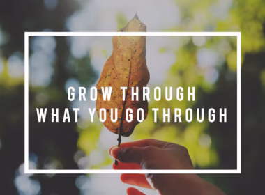 Quotela.net: Your Go-To Source for Inspirational Quotes