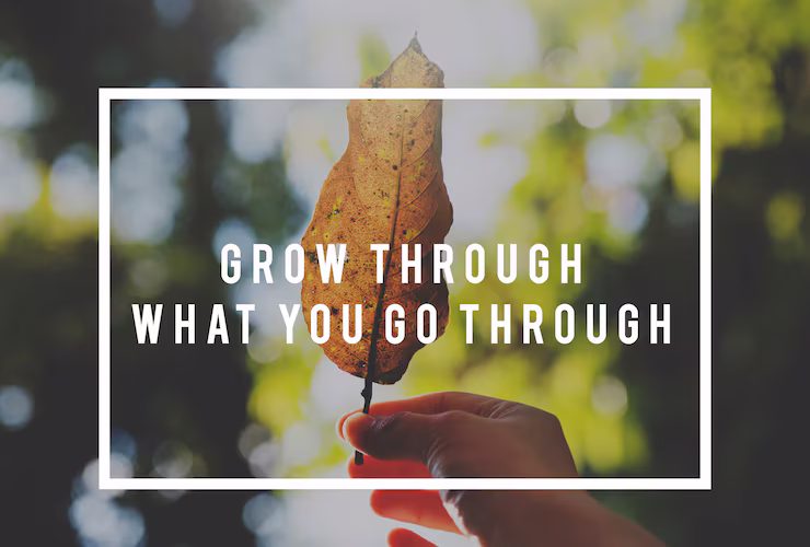 Quotela.net: Your Go-To Source for Inspirational Quotes
