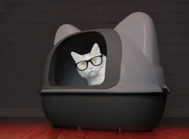 Catturd Twitter: The Feline Phenomenon Taking Social Media by Storm
