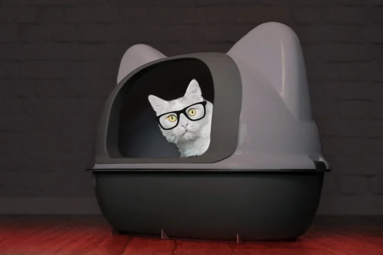 Catturd Twitter: The Feline Phenomenon Taking Social Media by Storm